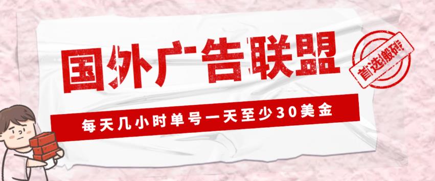 外面收费1980的最新国外LEAD广告联盟搬砖项目，单号一天至少30美金【详细玩法教程】-婷好网络资源库