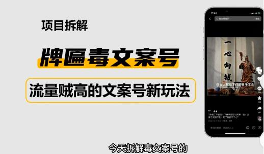 2023抖音快手毒文案新玩法，牌匾文案号，起号快易变现-婷好网络资源库