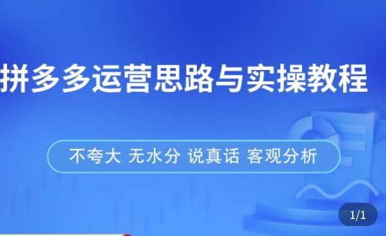 拼多多店铺运营思路与实操教程，快速学会拼多多开店和运营，少踩坑，多盈利-婷好网络资源库