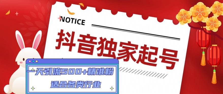 抖音独家起号，一天引流500+精准粉，适合各类行业（9节视频课）-婷好网络资源库