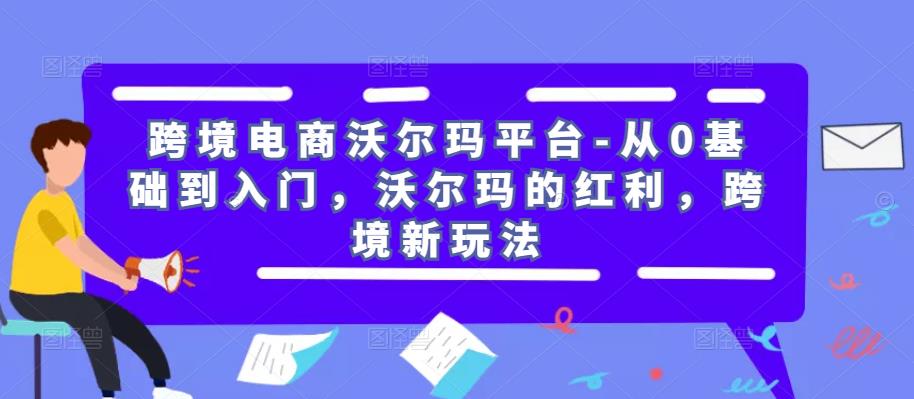 跨境电商沃尔玛平台-从0基础到入门，沃尔玛的红利，跨境新玩法-婷好网络资源库