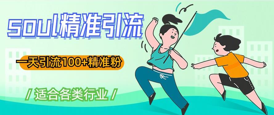 soul精准引流系列课程，一天引流100+精准粉，适合各类行业-婷好网络资源库