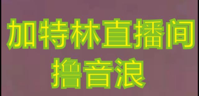 抖音加特林直播间搭建技术，抖音0粉开播，暴力撸音浪，2023新口子，每天800+【素材+详细教程】-婷好网络资源库
