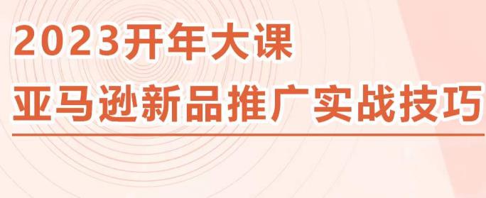 2023亚马逊新品推广实战技巧，线下百万美金课程的精简版，简单粗暴可复制，实操性强的推广手段-婷好网络资源库