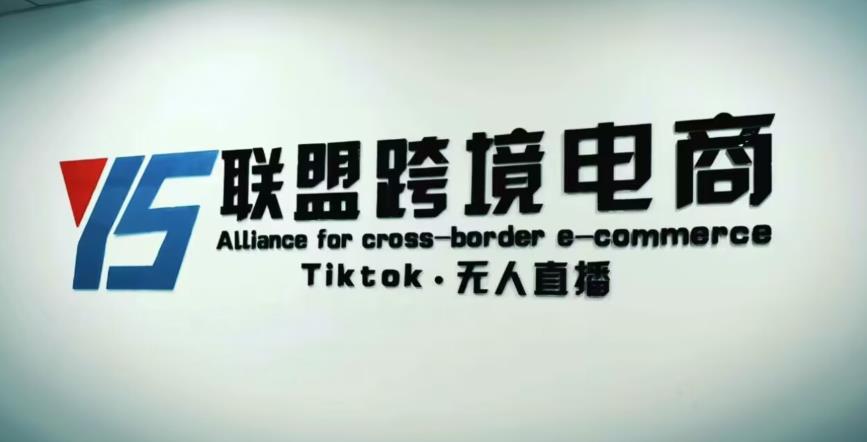YS联盟·Tiktok无人直播，不出镜不剪辑不拍摄不发货无售后的跨境短视频躺赚玩法-婷好网络资源库