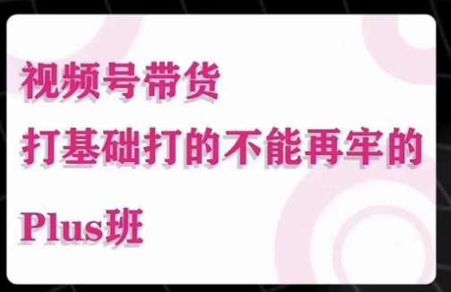 大播汇·视频号带货Puls班，视频号底层逻辑，起号自然流鱼塘等玩法-婷好网络资源库