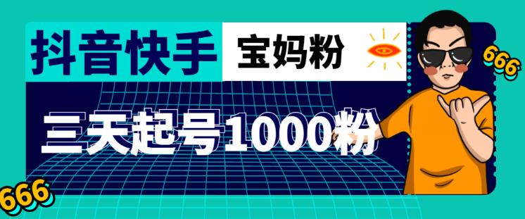 抖音快手三天起号涨粉1000宝妈粉丝的核心方法【详细玩法教程】-婷好网络资源库