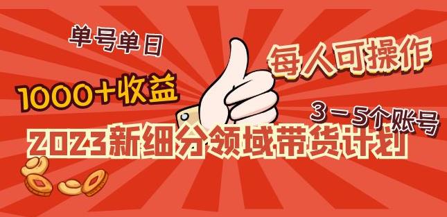 2023新细分领域带货计划：单号单日1000+收益不难，每人可操作3-5个账号-婷好网络资源库