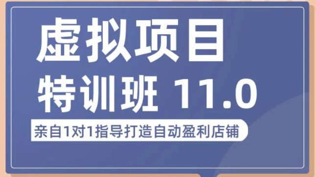 陆明明·虚拟项目特训班（10.0+11.0），0成本获取虚拟素材，0基础打造自动盈利店铺-婷好网络资源库