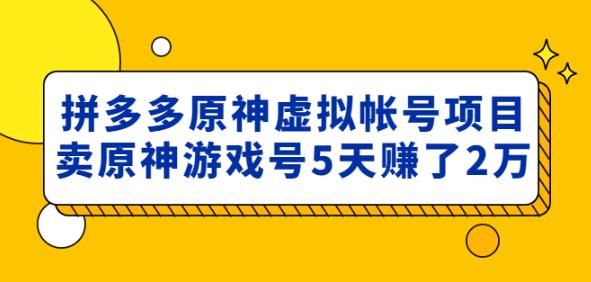 外面卖2980的拼多多原神虚拟帐号项目：卖原神游戏号5天赚了2万-婷好网络资源库