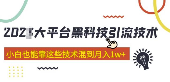大平台黑科技引流技术，小白也能靠这些技术混到月入1w+(2022年的课程）-婷好网络资源库