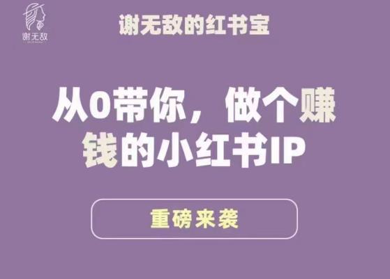 谢无敌·小红书运营大宝典，从0带你做个赚钱的小红书IP-婷好网络资源库