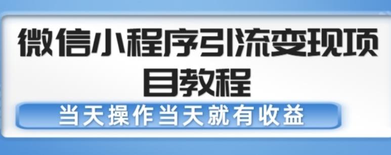 微信小程序引流变现项目教程，当天操作当天就有收益，变现不再是难事-婷好网络资源库