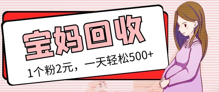 最新宝妈粉回收变现计划及胎教音乐高端变现玩法全套教程！（非老玩法）-婷好网络资源库