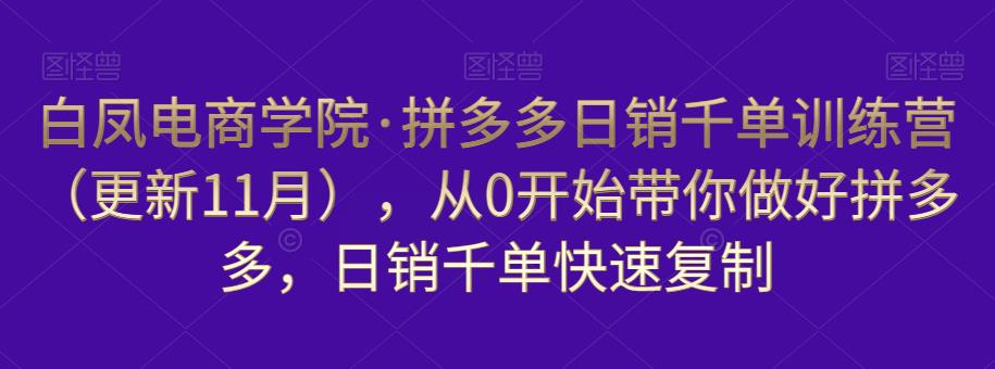 白凤电商学院·拼多多日销千单训练营，从0开始带你做好拼多多，日销千单快速复制（更新知2023年3月）-婷好网络资源库