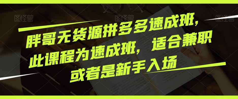 胖哥无货源拼多多速成班，此课程为速成班，适合兼职或者是新手入场-婷好网络资源库