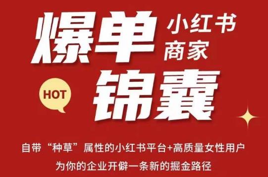 无畏·小红书商家爆单锦囊，掌握小红书各大规则，快速精准抢占行业和市场-婷好网络资源库