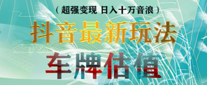 抖音最新无人直播变现直播车牌估值玩法项目，轻松日赚几百+【详细玩法教程】-婷好网络资源库