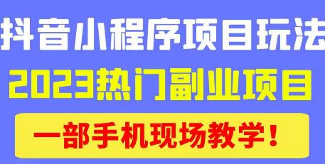 抖音小程序9.0新技巧，2023热门副业项目，动动手指轻松变现-婷好网络资源库