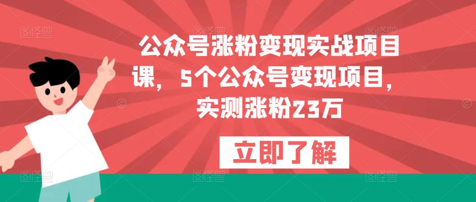 公众号涨粉变现实战项目课，5个公众号变现项目，实测涨粉23万-婷好网络资源库