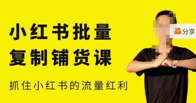 张宾·小红书批量复制铺货课，小红书0-1快速起号变现玩法，抓住小红书的流量红利（更新2023年3月）-婷好网络资源库