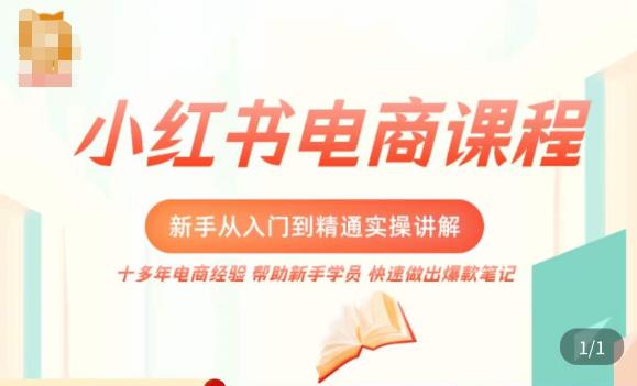 小红书电商新手入门到精通实操课，从入门到精通做爆款笔记，开店运营-婷好网络资源库