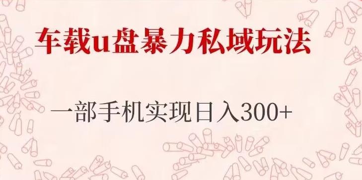 车载u盘暴力私域玩法，长期项目，仅需一部手机实现日入300+-婷好网络资源库