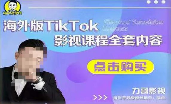 海外TikTok影视课程全套，从搭建渠道，到如何正确使用账号，到未来的变现渠道等-婷好网络资源库