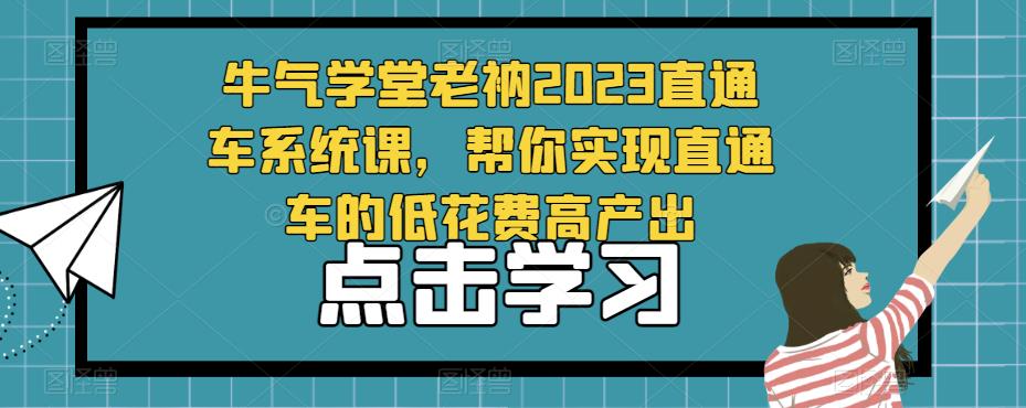 牛气学堂老衲2023直通车系统课，帮你实现直通车的低花费高产出-婷好网络资源库