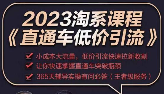 2023直通车低价引流玩法课程，小成本大流量，低价引流快速拉新收割，让你快速掌握直通车突破瓶颈-婷好网络资源库