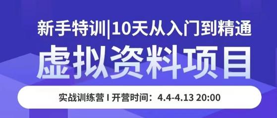 虚拟资料项目新手特训，10天从入门到精通，保姆级实操教学-婷好网络资源库