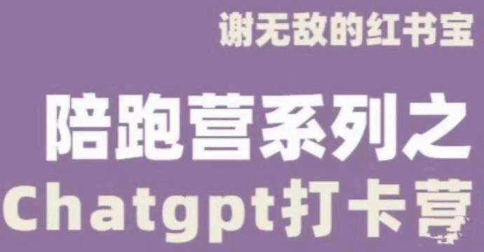 谢无敌ChatGPT打卡营，教你更好地使用ChatGPT来提高工作效率-婷好网络资源库
