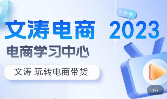 文涛电商·7天零基础自然流起号，​快速掌握店铺运营的核心玩法，突破自然展现量，玩转直播带货-婷好网络资源库