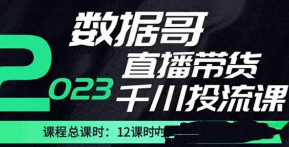 数据哥2023直播电商巨量千川付费投流实操课，快速掌握直播带货运营投放策略-婷好网络资源库