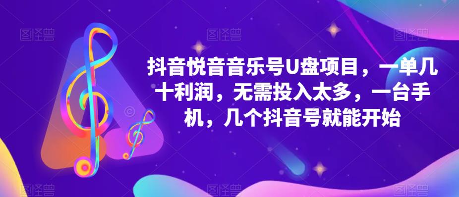 抖音音乐号U盘项目，一单几十利润，无需投入太多，一台手机，几个抖音号就能开始-婷好网络资源库