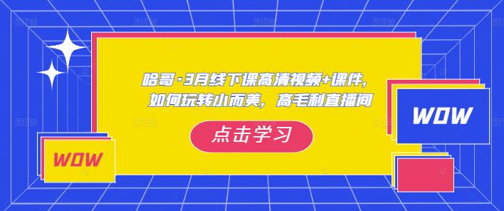 哈哥·3月线下实操课高清视频+课件，如何玩转小而美，高毛利直播间-婷好网络资源库