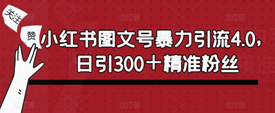 小红书图文号暴力引流4.0，日引300＋精准粉丝【揭秘】-婷好网络资源库