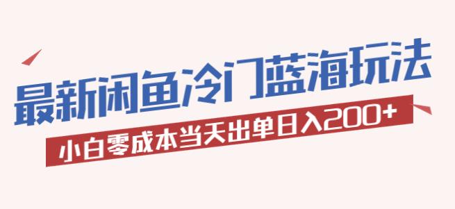 2023最新闲鱼冷门蓝海玩法，小白零成本当天出单日入200+【揭秘】-婷好网络资源库