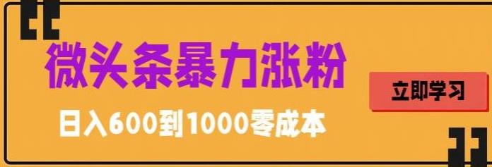 微头条暴力涨粉技巧搬运文案就能涨几万粉丝，简单0成本，日赚600【揭秘】-婷好网络资源库