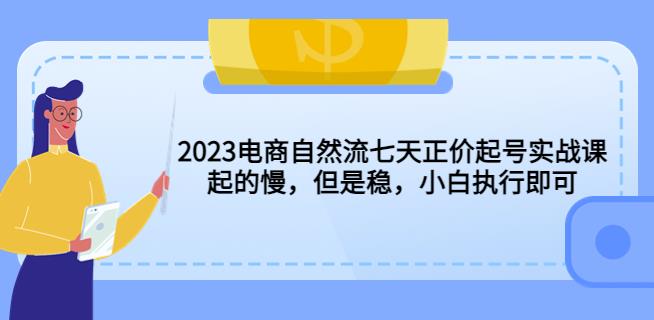 2023电商自然流七天正价起号实战课：起的慢，但是稳，小白执行即可！-婷好网络资源库