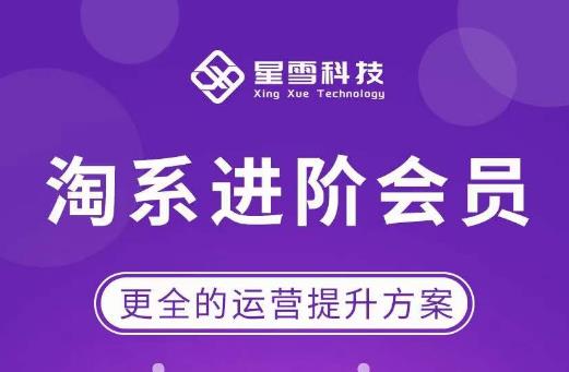 星雪·淘系进阶课程，快速提升突破技能流量瓶颈必备（更新2023年5月）-婷好网络资源库