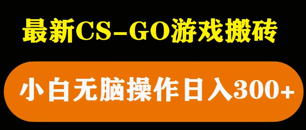 最新csgo游戏搬砖游戏，无需挂机小白无脑也能日入300+-婷好网络资源库