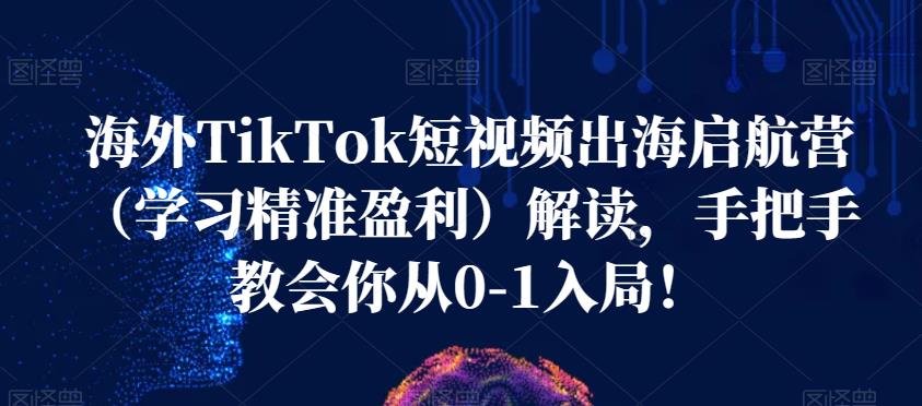 海外TikTok短视频出海启航营（学习精准盈利）解读，手把手教会你从0-1入局！-婷好网络资源库