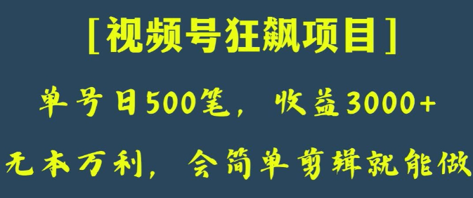 日收款500笔，纯利润3000+，视频号狂飙项目，会简单剪辑就能做【揭秘】-婷好网络资源库