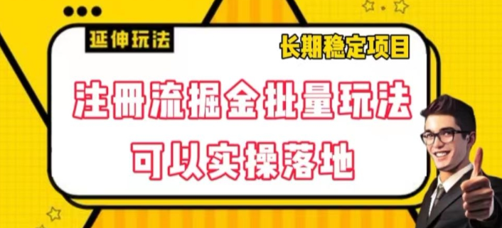 注册流掘金批量玩法，可以实操落地【揭秘】-婷好网络资源库