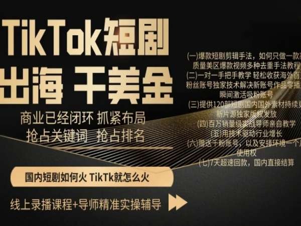 TikTok短剧出海干美金，商业已经闭环抓紧布局，抢占关键词抢占排名-婷好网络资源库