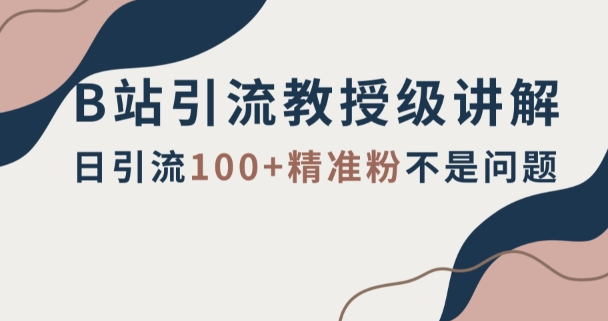 B站引流教授级讲解，细节满满，日引流100+精准粉不是问题【揭秘】-婷好网络资源库