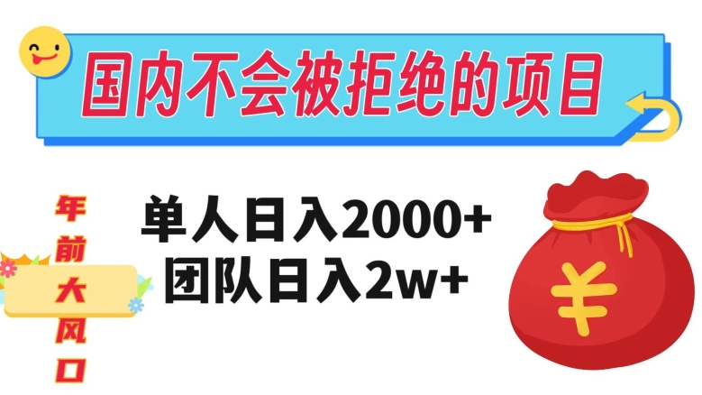 在国内不怕被拒绝的项目，单人日入2000，团队日入20000+【揭秘】-婷好网络资源库