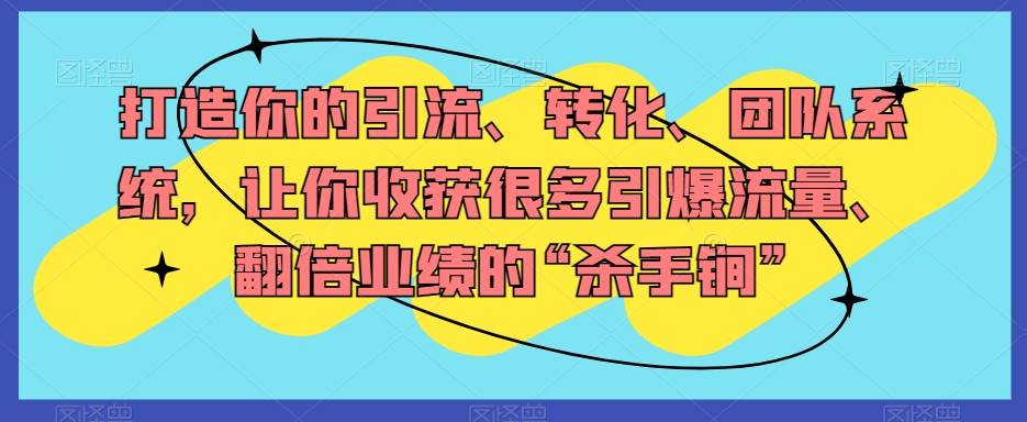 打造你的引流、转化、团队系统，让你收获很多引爆流量、翻倍业绩的“杀手锏”-婷好网络资源库