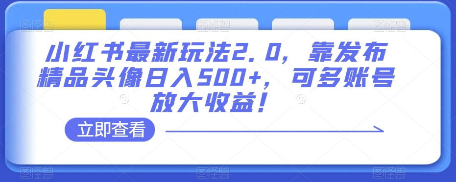 小红书最新玩法2.0，靠发布精品头像日入500+，可多账号放大收益！【揭秘】-婷好网络资源库